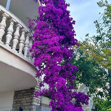 Apartment Adria Tribalj