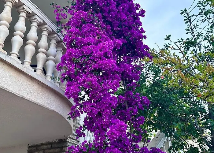 아파트 Adria Tribalj